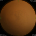 1564078500.jpg