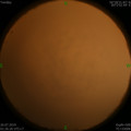 1564079041.jpg