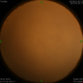 1564080301.jpg