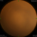 1564080781.jpg