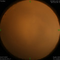 1564080841.jpg