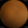 1564080901.jpg