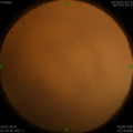 1564081022.jpg