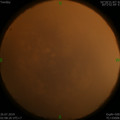 1564081562.jpg