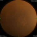 1564081682.jpg