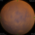 1564085944.jpg
