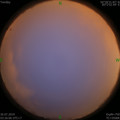 1564086229.jpg