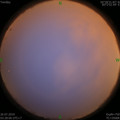 1564086349.jpg
