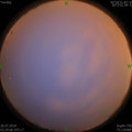 1564086409.jpg