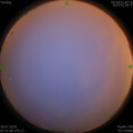 1564086529.jpg