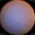1564086709.jpg