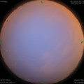 1564086829.jpg