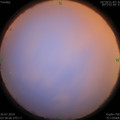 1564086949.jpg
