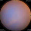 1564087024.jpg