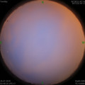 1564087084.jpg