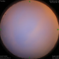 1564087144.jpg