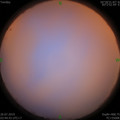 1564087355.jpg