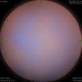 1564087610.jpg