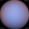 1564087790.jpg