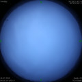 1564089831.jpg