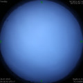 1564090446.jpg
