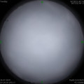 1564100816.jpg