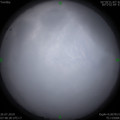 1564101972.jpg