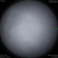 1564105003.jpg