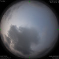 1564110045.jpg