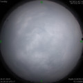 1564133802.jpg