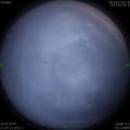 1564150895.jpg