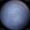 1564150955.jpg