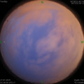 1564172806.jpg