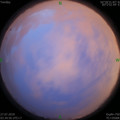 1564173166.jpg