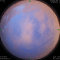 1564173226.jpg