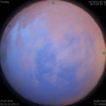 1564173541.jpg