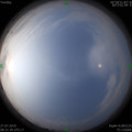 1564190950.jpg