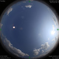 1564225436.jpg