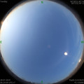 1564269693.jpg