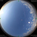 1564271254.jpg