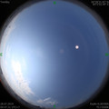 1564281894.jpg