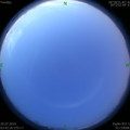 1564346410.jpg
