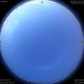 1564346860.jpg