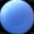 1564346920.jpg