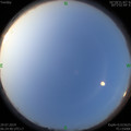 1564356120.jpg