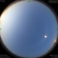 1564356510.jpg