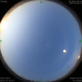 1564356900.jpg