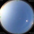 1564357290.jpg