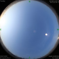 1564358866.jpg