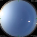 1564359271.jpg